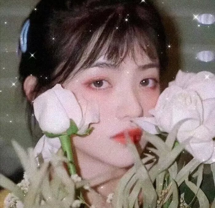 千古两美人 在线观看
