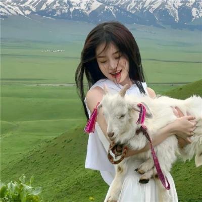 法律与秩序（纪录片） 在线观看